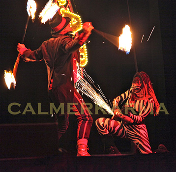 CIRCUS THEMED ENTERTAINMENT - FIERCE FIRE AND ANGLE GRINDING ZEBRA SHOW - UK